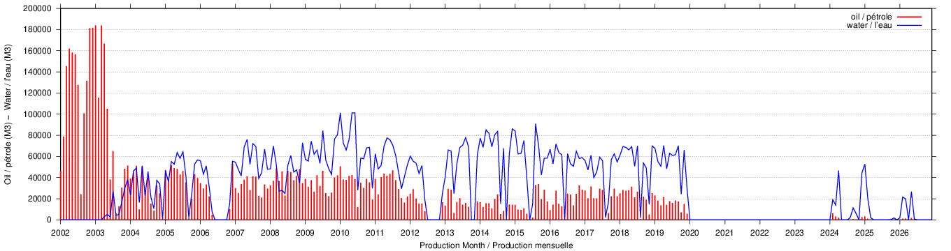 dynamic plot of characteristics for well 'N202' plot